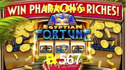 Tecnologia da Plataforma Br567