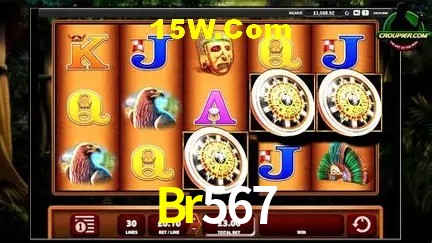 Sistemas de Segurança Br567