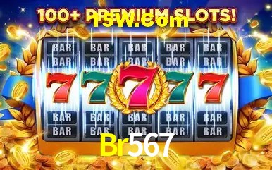 Login Seguro Br567